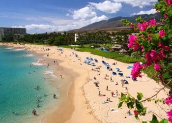 10 Famous Singers from Hawaii