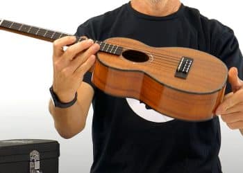 15 Best Ukulele Players of All Time