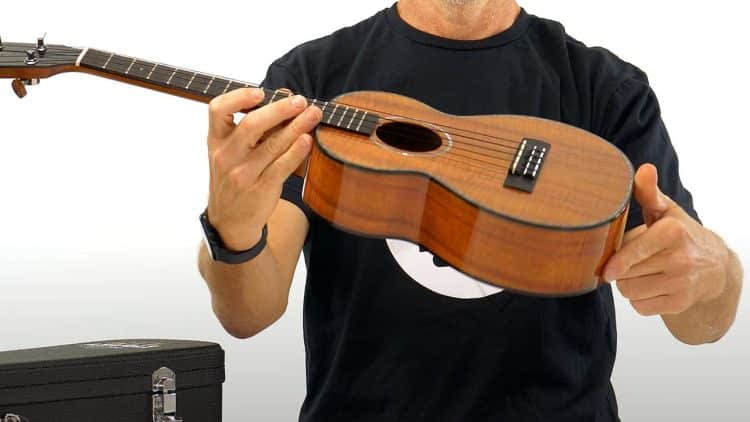 15 Best Ukulele Players of All Time