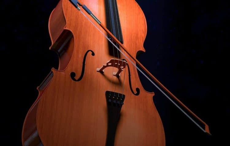 15 Best Cello Players of All Time