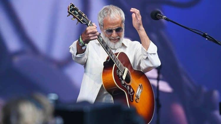 10 Best Cat Stevens Songs of All Time