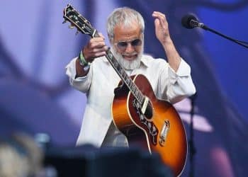 10 Best Cat Stevens Songs of All Time