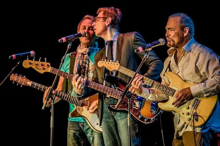 10 Best The Box Tops Songs of All Time