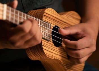 15 Best Ukulele Players of All Time