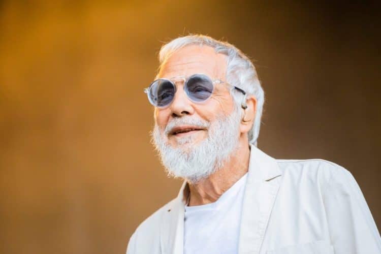 10 Best Cat Stevens Songs of All Time
