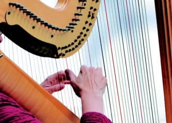 15 Best Harp Players of All Time