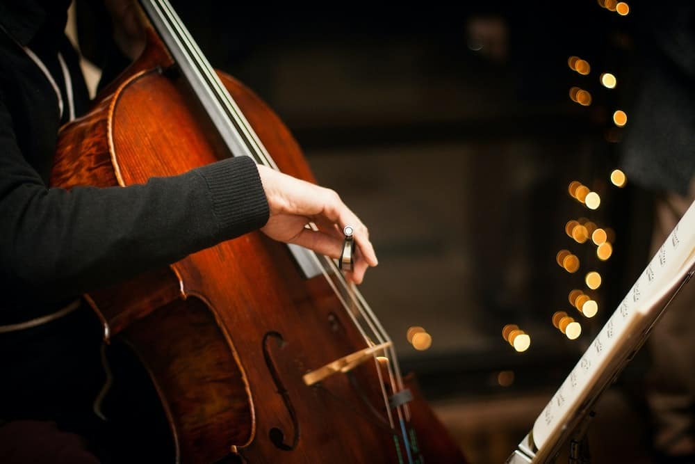 15 Best Cello Players of All Time
