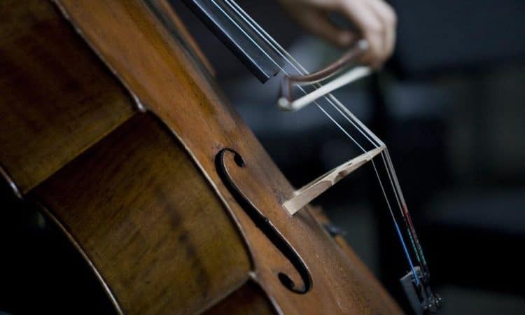 15 Best Cello Players of All Time