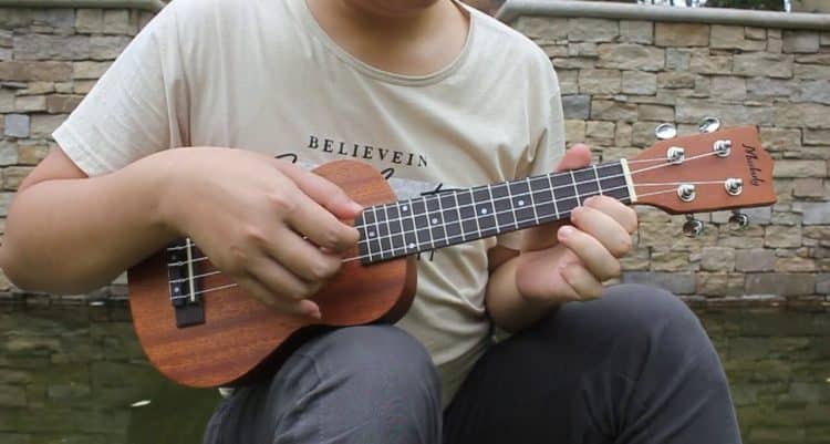15 Best Ukulele Players of All Time