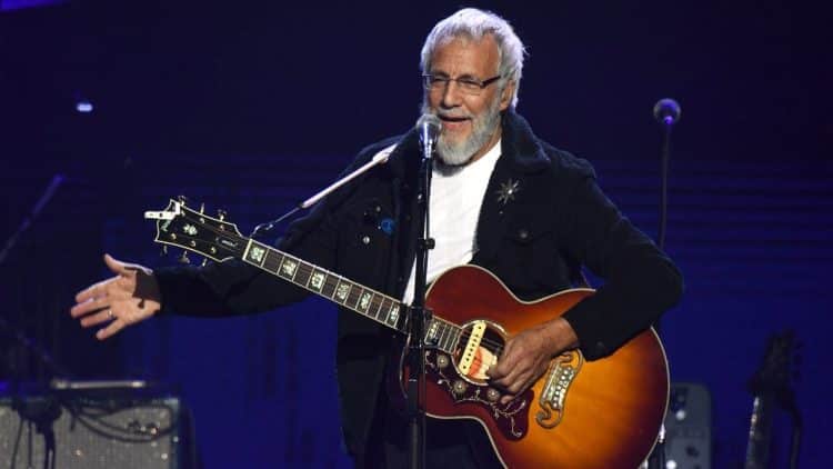 10 Best Cat Stevens Songs of All Time