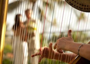 15 Best Harp Players of All Time