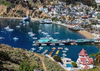 10 Famous Singers from California