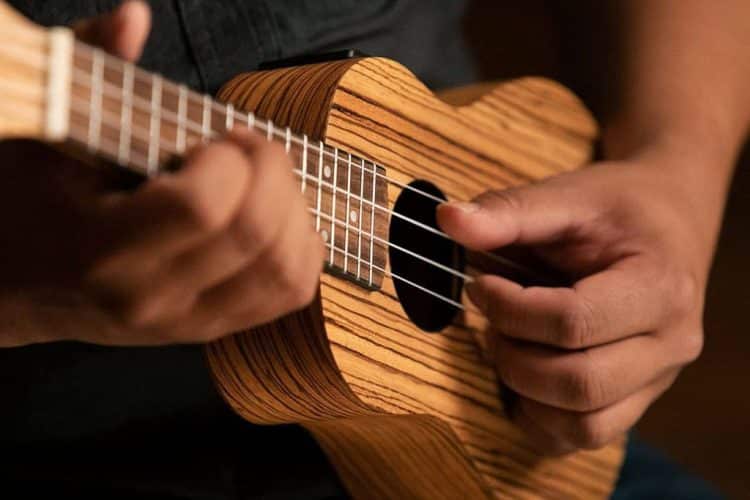 15 Best Ukulele Players of All Time