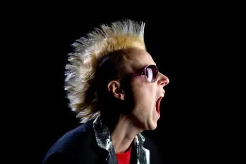 15 Best Punk Rock Singers of All Time