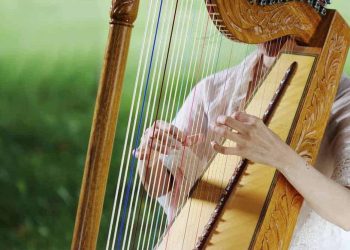 15 Best Harp Players of All Time