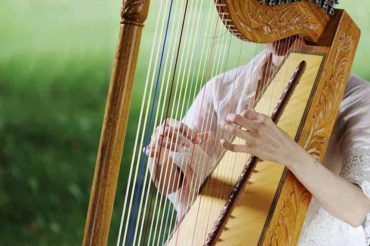 15 Best Harp Players of All Time