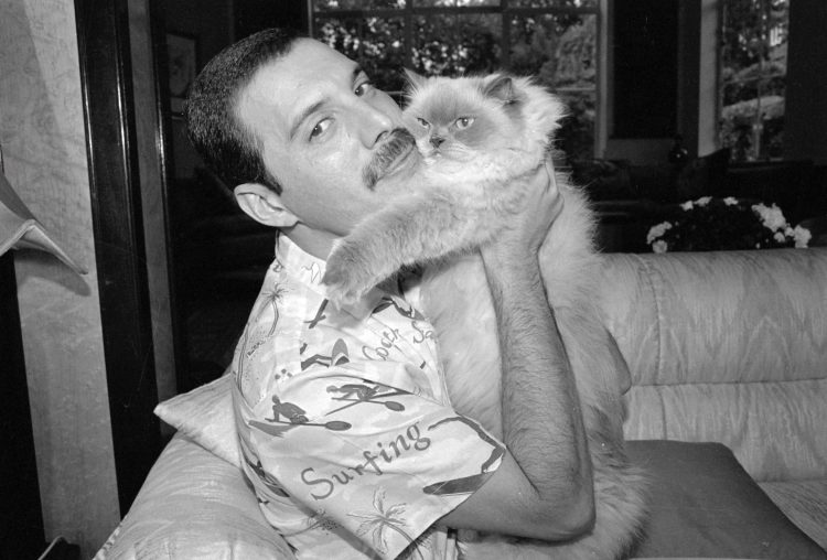 10 Best Freddie Mercury Songs of All Time