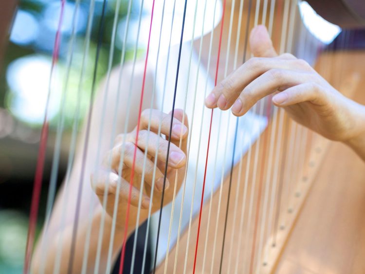 15 Best Harp Players of All Time