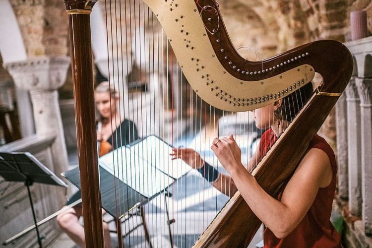 15 Best Harp Players of All Time