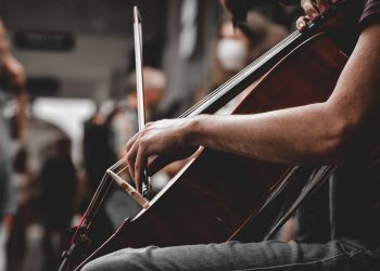 15 Best Cello Players of All Time