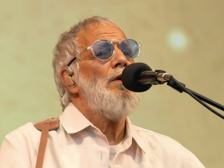 10 Best Cat Stevens Songs of All Time