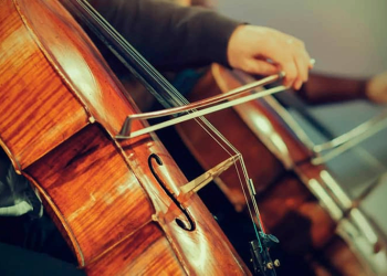 15 Best Cello Players of All Time