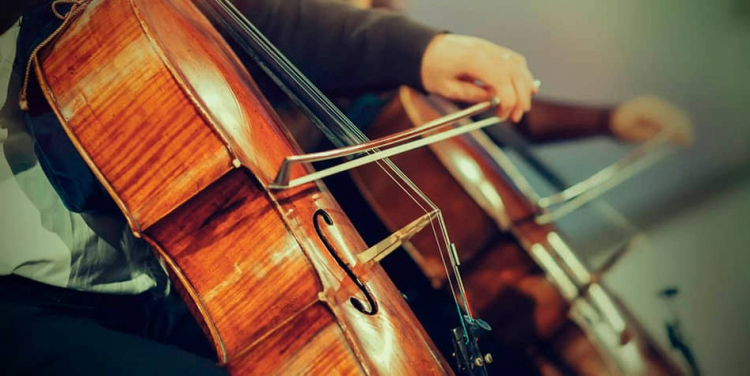 15 Best Cello Players of All Time