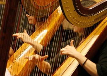 15 Best Harp Players of All Time