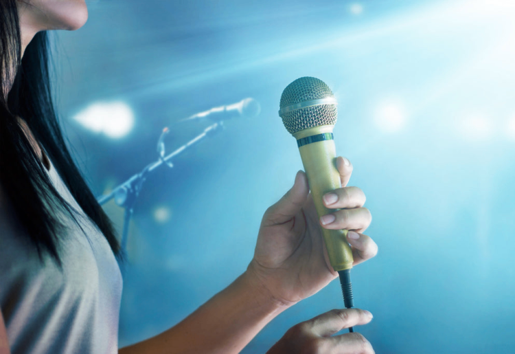 15 Best Karaoke Singers of All Time